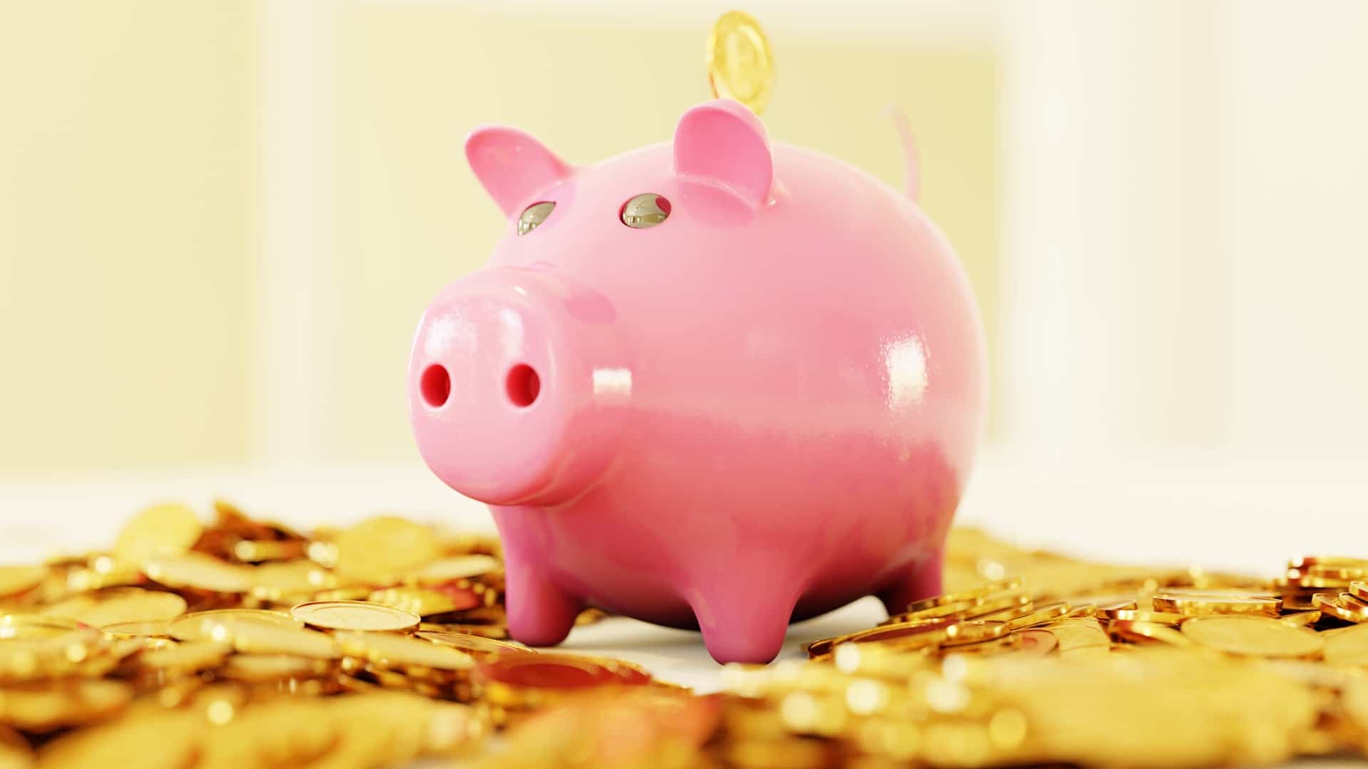 pink piggy bank and coin savings