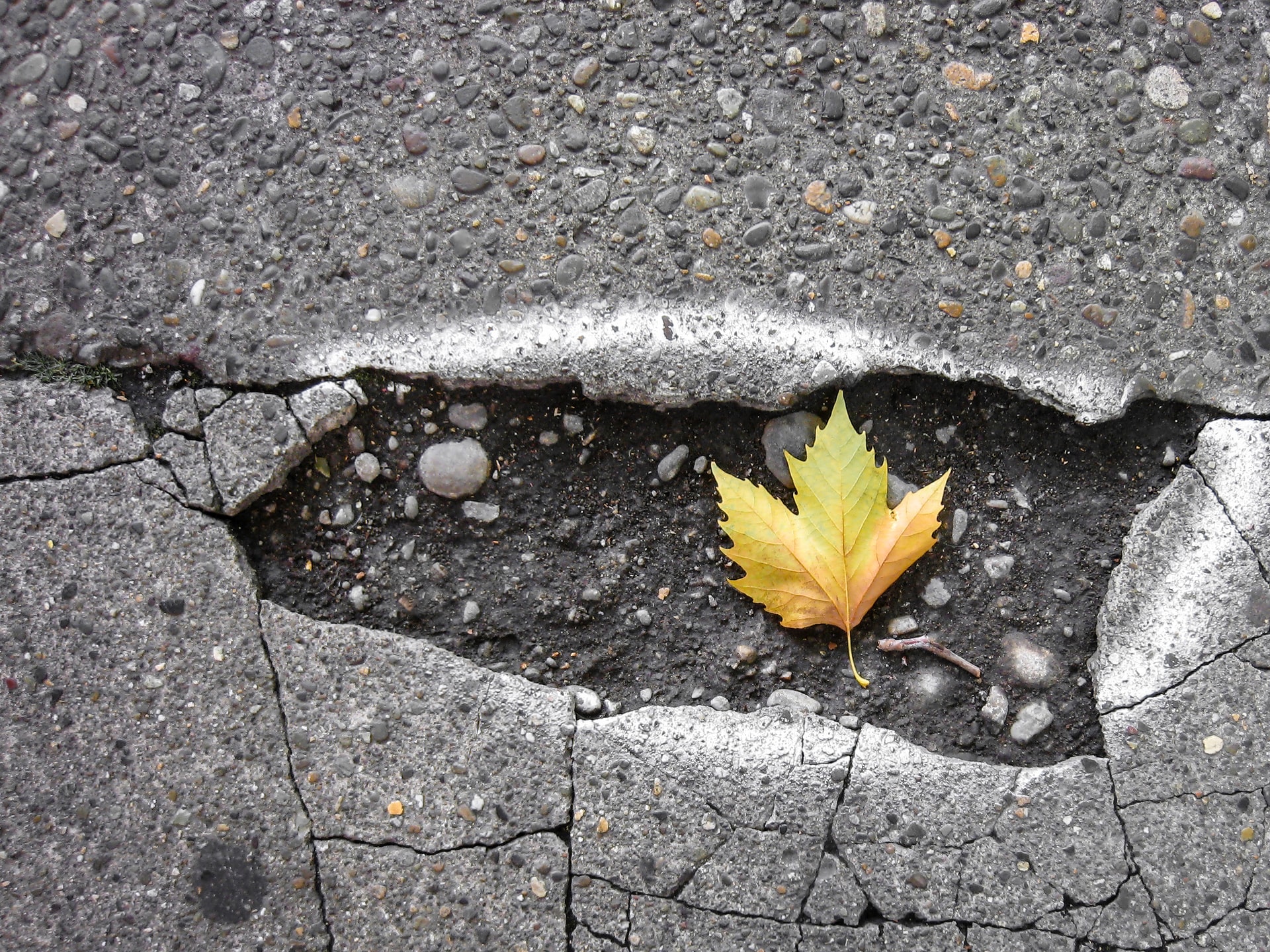 Pothole on road with Maple leaf
