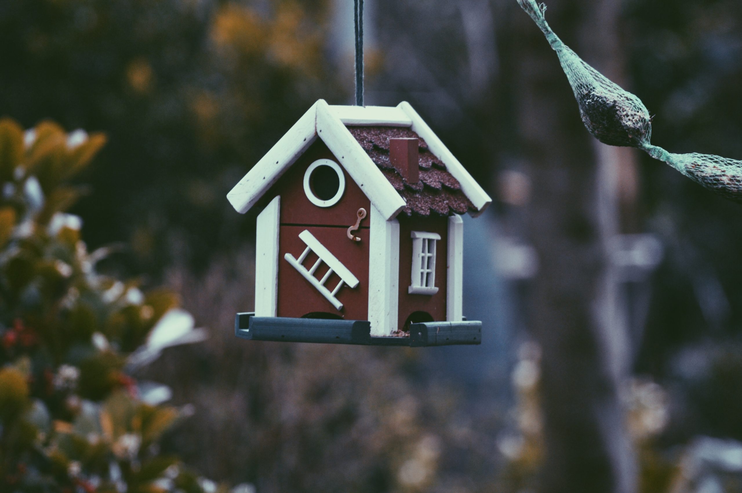 Red and white house-shaped birdhouse hanging in a tree