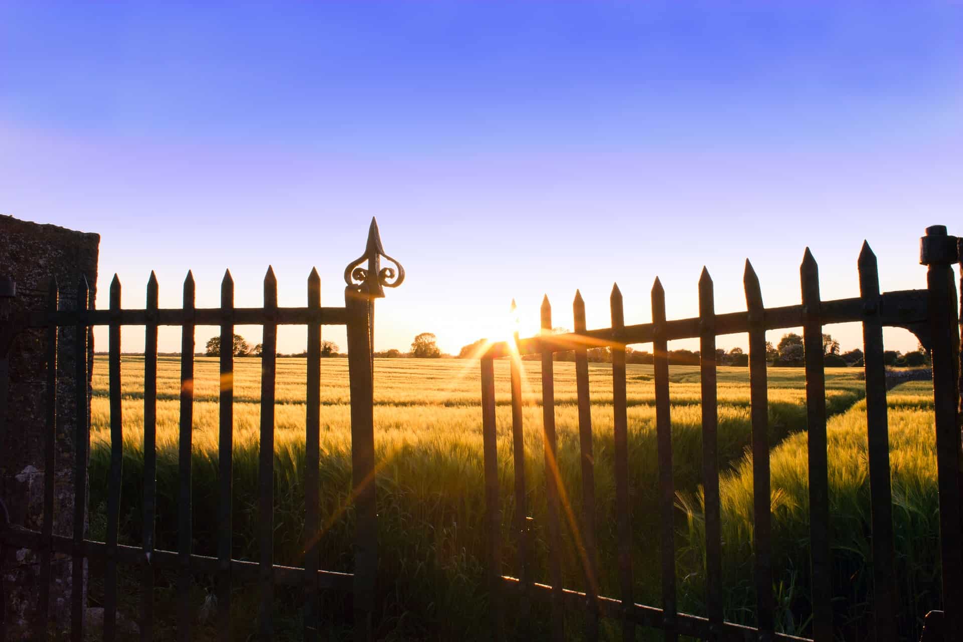 a gate partially opened facing a field at sundown