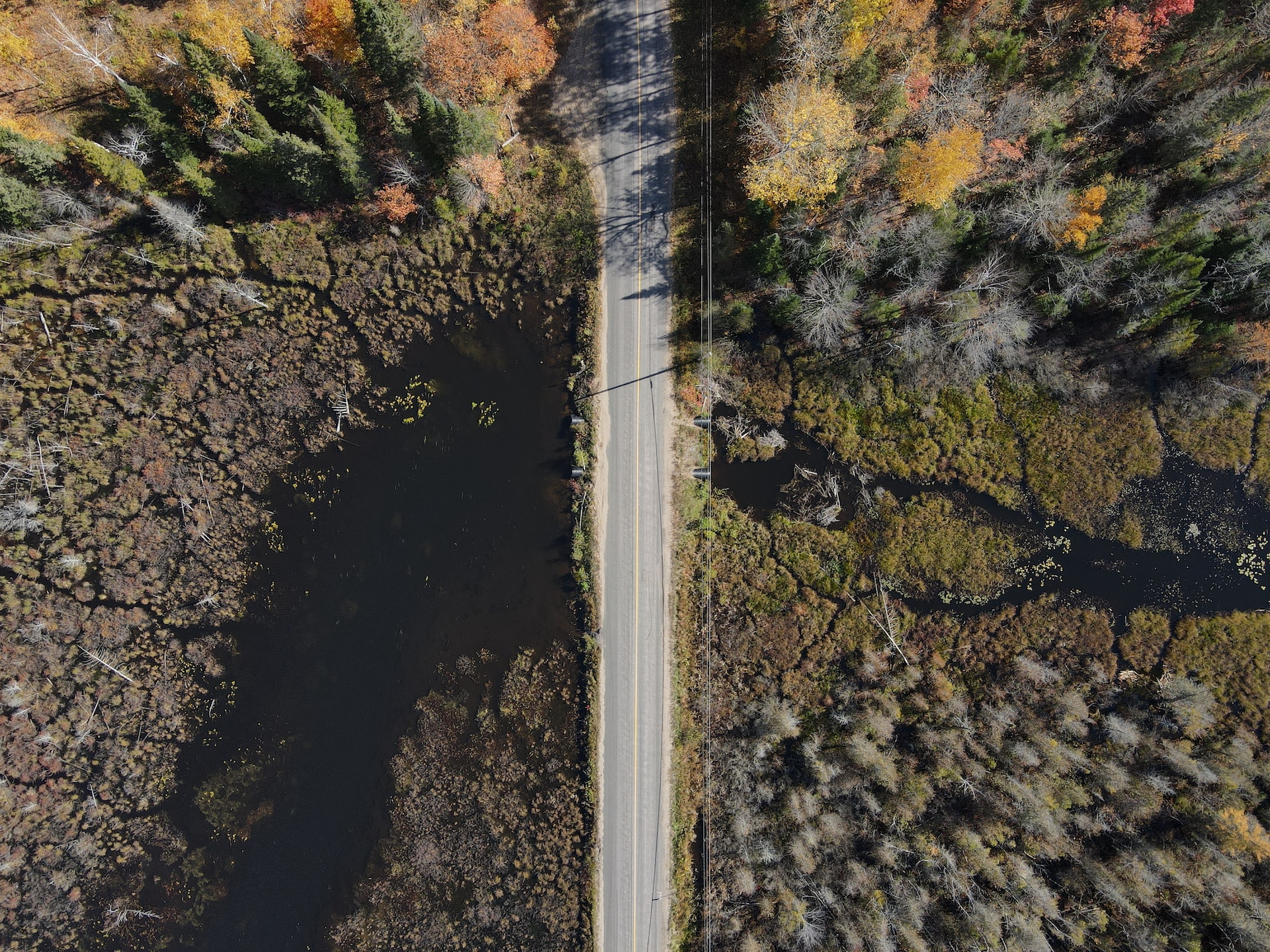 birds eye view of a road in Ontario
