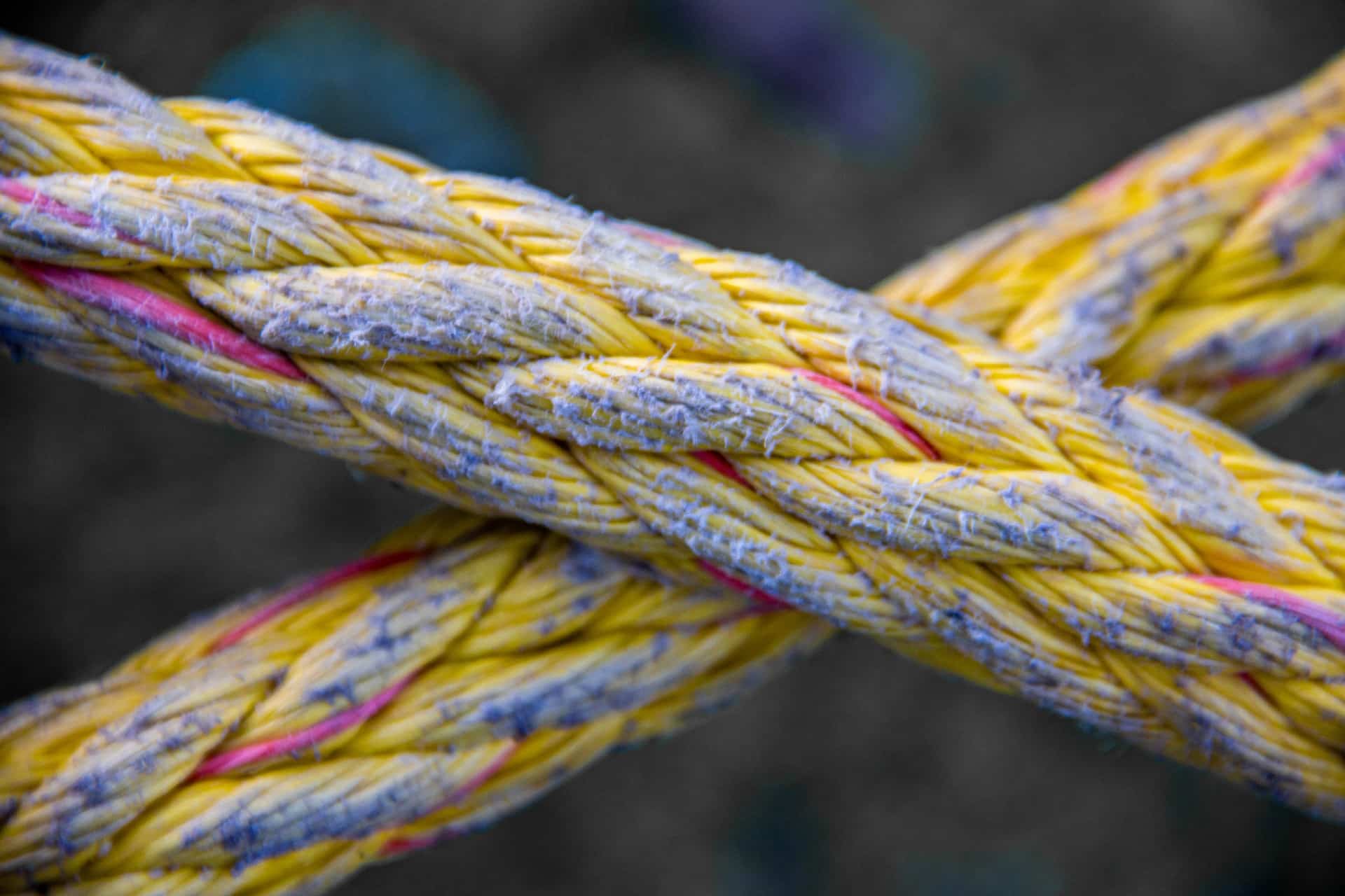 a close-up of a yellow and blue rope