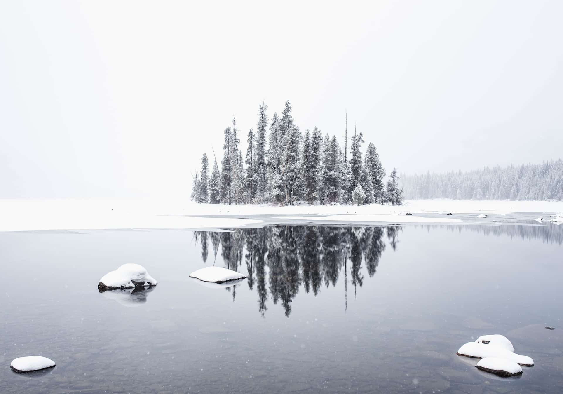 an island on a lake in winter