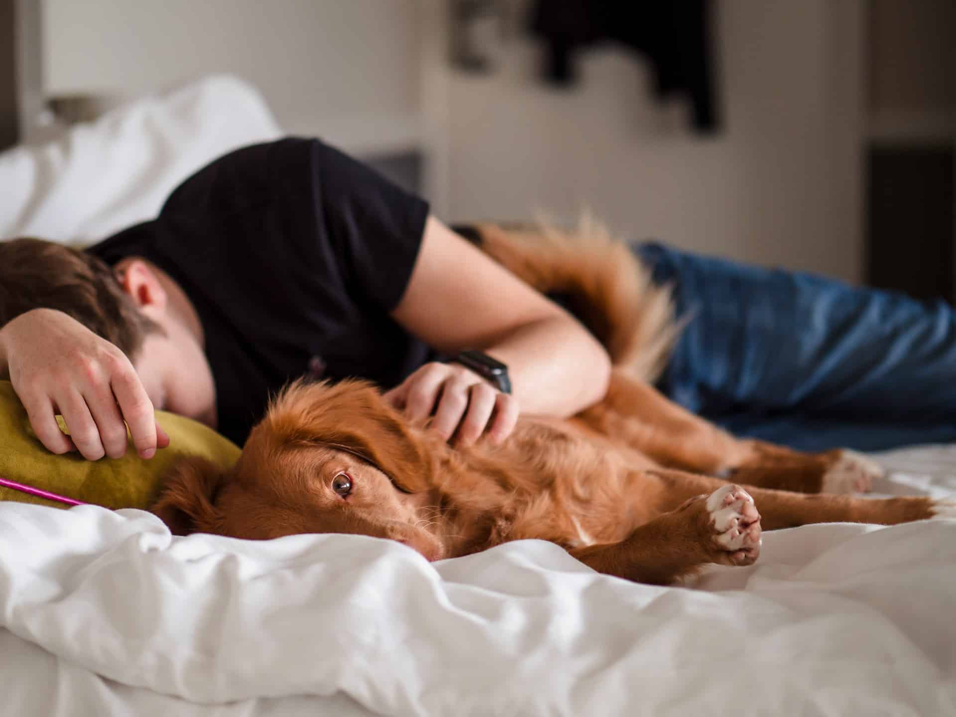 person in bed with dog