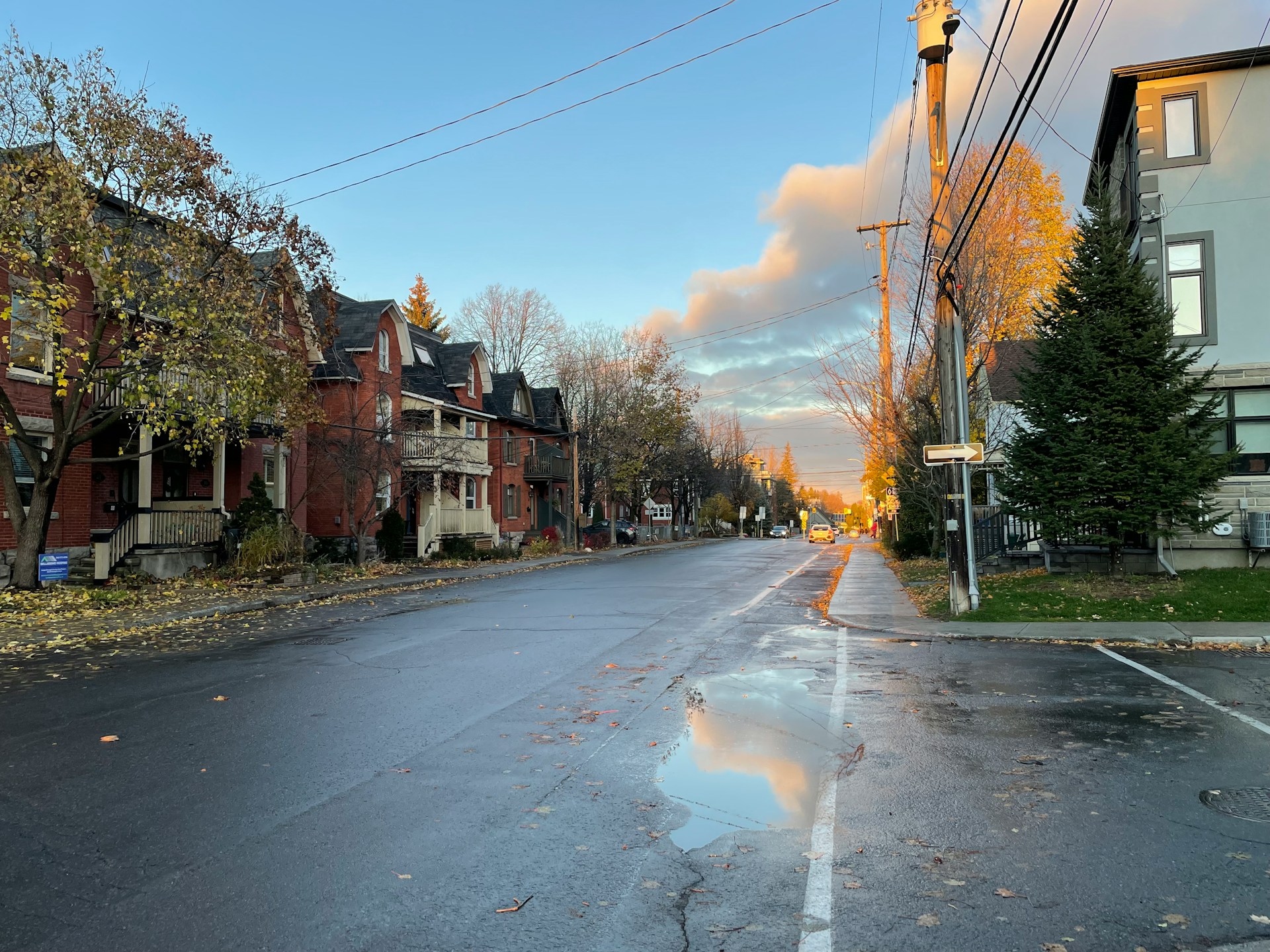 Red brick homes line an Ottawa street wet from rain as the sun sets, symbolizing the property discussed and the anti-lapse rule when a beneficiary pre-deceases a testator.